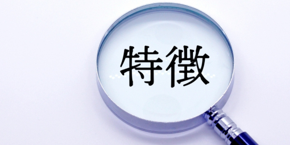 虫眼鏡で「特徴」の文字を拡大表示した画像
