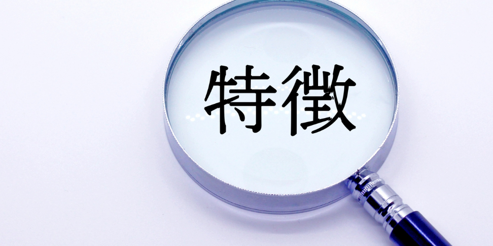 虫眼鏡で「特徴」の文字を拡大表示した画像