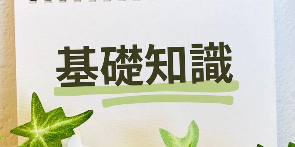 白いメモ帳に「基礎知識」と書かれ、緑の植物が添えられたナチュラルなイメージ画像