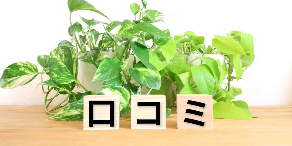 観葉植物を背景に、手前に並んだ木製ブロックに黒字で「ロ」「コ」「ミ」と書かれた「口コミ」強調イメージ
